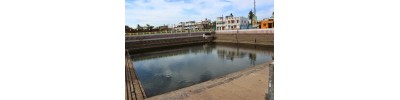 திருமழிசை - சென்னை - தமிழ்நாடு